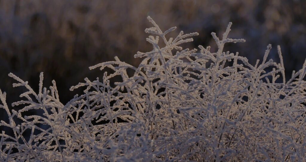 Froid extrême et thermopompe : que faire quand les températures chutent?